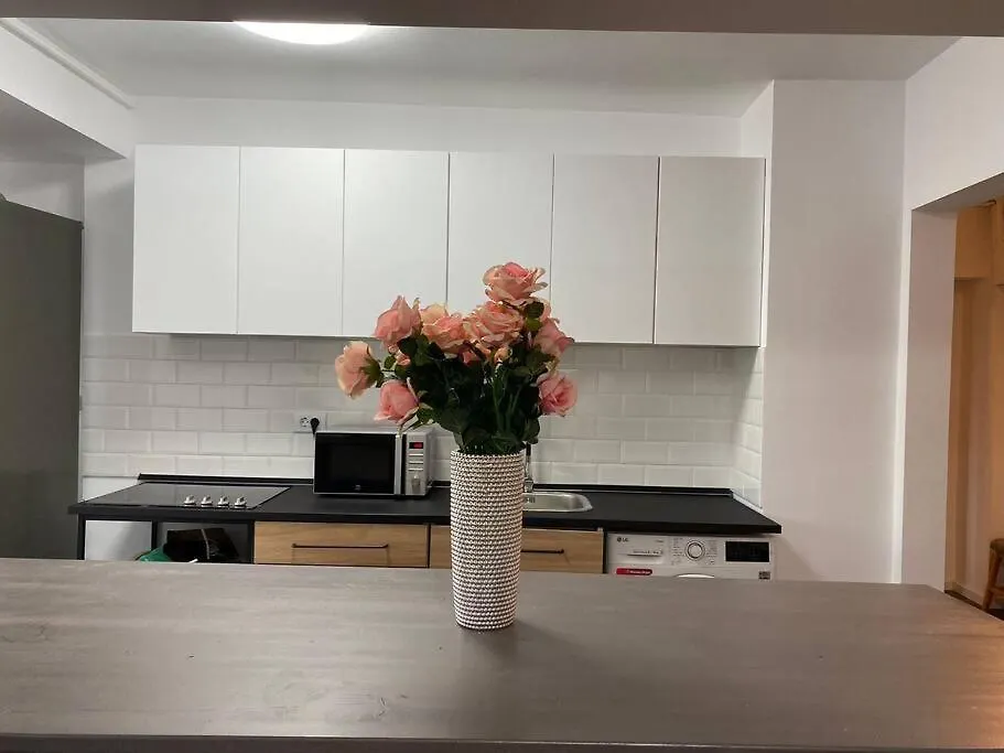 New Luxury Flat At Unirii And Parliament Apartment Bucharest Romania